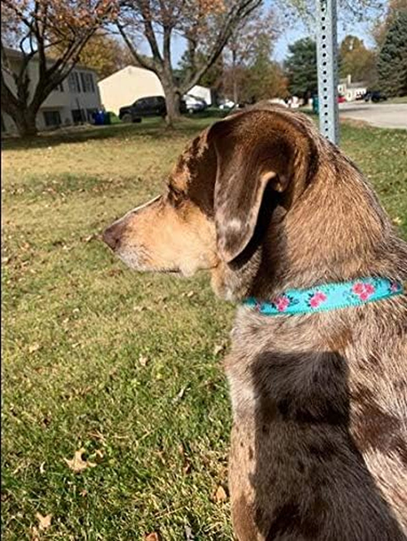 Floral Dog Collars Adjustable Nylon Collar with Quick Release Buckle for Female & Male Dogs, Green, Small
