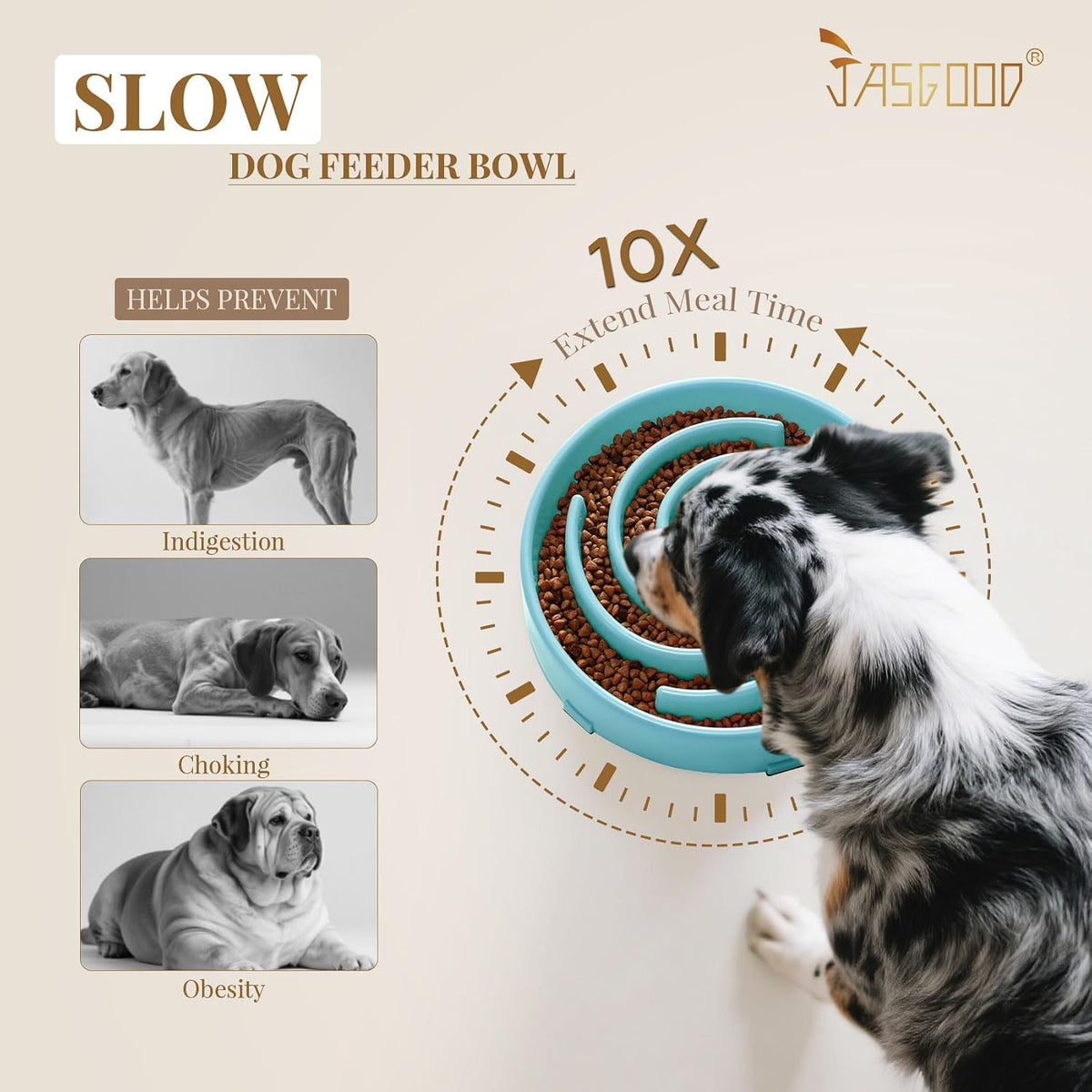 Slow Feeder Bowl for Large and Medium Dogs - Anti-Gulping Design to Prevent Bloating and Choking