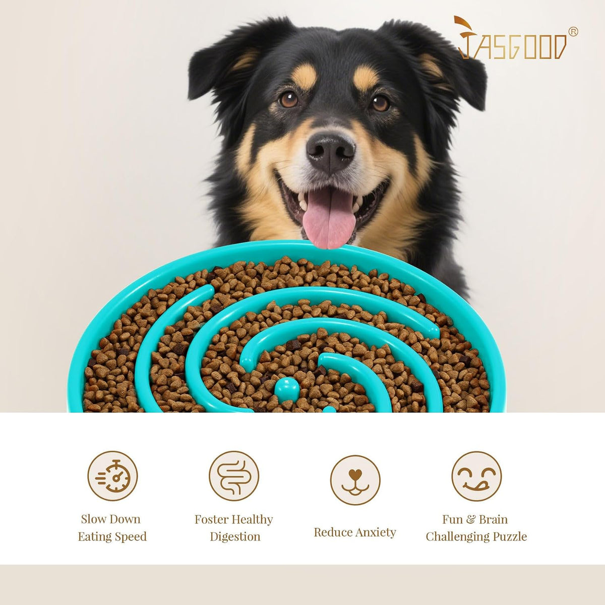 Slow Feeder Bowl for Large and Medium Dogs - Anti-Gulping Design to Prevent Bloating and Choking