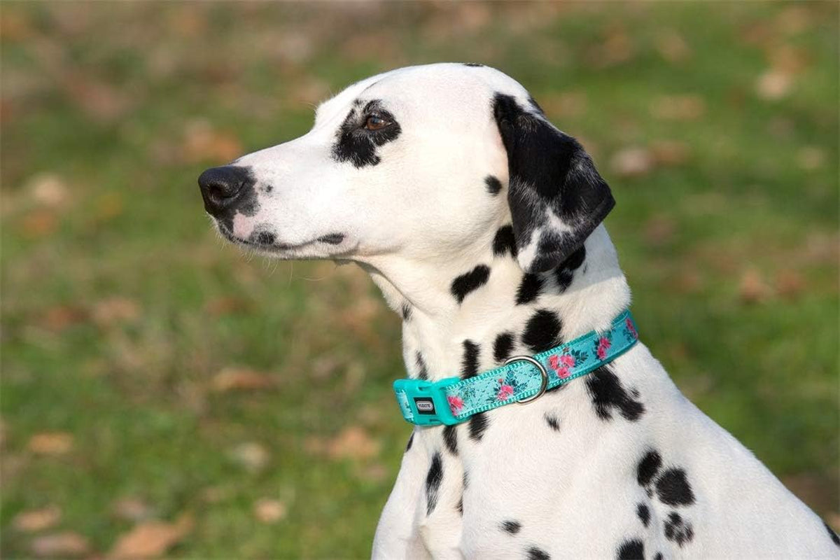 Floral Dog Collars Adjustable Nylon Collar with Quick Release Buckle for Female & Male Dogs, Green, Small